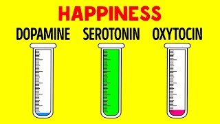 How Hormones Influence You and Your Mind [upl. by Siuluj]