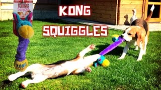 Funny Dog Toy Critics quotLouie and Mariequot Episode 9  KONG SQUIGGLES [upl. by Nalid732]