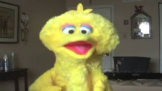 Sesame Street  Big Bird sings quotEveryone Makes Mistakesquot 60fps [upl. by Hendrika]