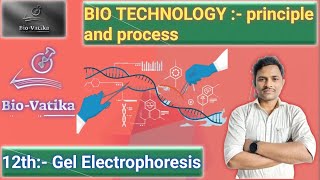 Bio vatika class 12th  Bio Technology  Principle and Process II Gel Electrophoresis [upl. by Kimmy823]