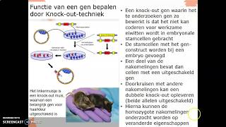 V5 Thema 4 DNA BS7 Biotechnologie deel 2 Reverse Transcriptase Antisens [upl. by Leggett]