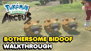 Pokemon Legends Arceus quotBothersome Bidoofquot Request Guide All 3 Bidoof Locations [upl. by Uzzial]