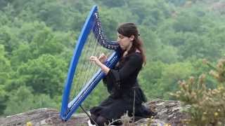 Alesia  ELUVEITIE  harp  harpe  竖琴 [upl. by Delcina]