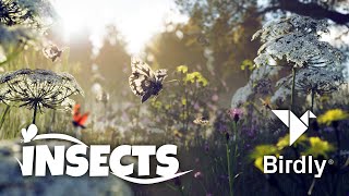 Birdly Insects Trailer [upl. by Ahsimik]