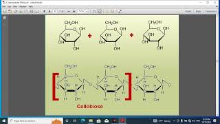 Pharmacognosy 1 lec 9 [upl. by Japha]