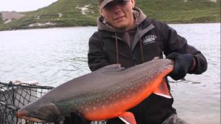 Tree River 2015  Plummers Arctic Lodges [upl. by Dnob]