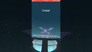 Evolving Golbat into Crobat in Pokémon Go [upl. by Eikcaj]