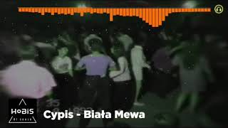 AI Cover 🤖🎤Lyrics Cypis  Biała Mewa ale Disco Polo 90 [upl. by Atsirhcal208]