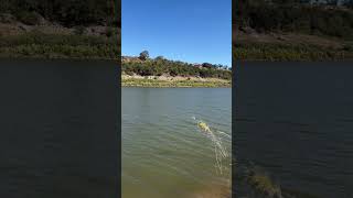 Muleshoe Bend Recreation Area  Spicewood TX [upl. by Streeter]