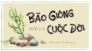 Sách nói Bão Giông Mới Là Cuộc Đời  Chương 1  Khenpo Sodargye [upl. by Florrie]