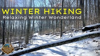 Winter Hiking  Shenandoah National Park  South River Falls [upl. by Garaway]