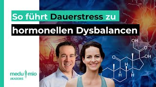 So führt Dauerstress zu hormonellen Dysbalancen ⚖️ Markus Grimm [upl. by Natsyrt886]