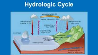 Limnology  Hydrologic Cycle [upl. by Ahseim185]