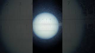 AS How to Calibrate an Eyepiece Graticule [upl. by Kussell]