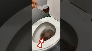 Green Cleaning Kill Germs and Bugs in Your Bathroom GreenCleaning CleanBathroom DIY HomeHelp [upl. by Airamasor]