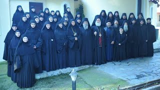 ARCHIMANDRITE DIONYSIOS KALAMBOKAS GATHERING 2017 PART II [upl. by Yrakaz]