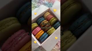 colorful macarons or greasy burrito cherryblossomicetea kittyfish [upl. by Aynad]