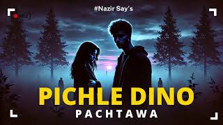 Pichle Dino Ka Pachtawa  sad Audio Song  Nazir Says [upl. by Etezzil]