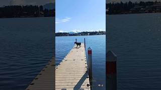 Coltrane at Beluga Lake Homer Alaska [upl. by Menken985]