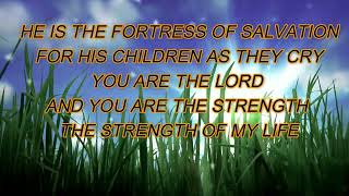 I AM STRONG IN THE LORD INSTRUMENTAL [upl. by Diley219]