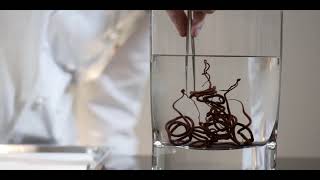 How to make decoration Chocolate Spirals  Joel Perriard [upl. by Sacrod]