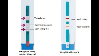 Test nhanh HIV COMBO AgAb [upl. by Antonella]