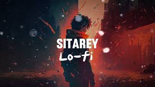 Sitarey  Tigerstyle Feat  Jaz Dhami  Slowed x Reverb Lofi song [upl. by Eillehs]