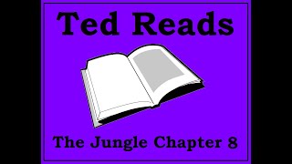 The Jungle Upton Sinclair Chapter 8 [upl. by Zetra]