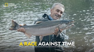 Fraser River’s Forgotten Giants  Last of the Giants Wild Fish  हिंदी  Full Episode  S1  E4 [upl. by Austreng868]