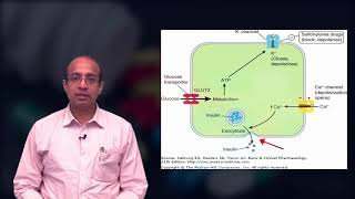 Sulfonylureas Introduction MOA Classification And Its Efficacy Clinical Studies And Guidelines [upl. by Sugar]