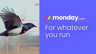 Manage anything track progress and collaborate effortlessly with mondaycom [upl. by Aicilaanna]