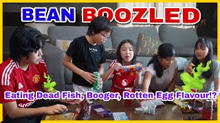 Bean Boozled Challenge Hilarious Reactions with Foreign Cousin [upl. by Resneps463]