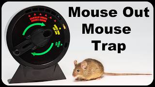 The Wilsons Mouse Out Mouse Trap From Canada Mousetrap Monday [upl. by Nealon]