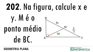 C06 PERPENDICULARIDADE 202 [upl. by Orodoet320]