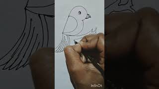 D  Bird 🐦 drawing easily art drawingtutorials artwork drawing [upl. by Anaic]