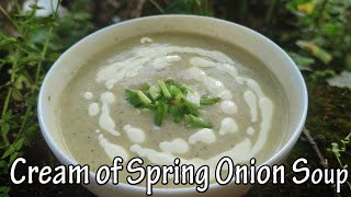 Cream of Spring Onion Soup soup chickensoup chickenstock springonionrecipe spicy potato [upl. by Nelrah119]