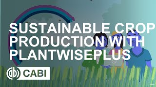 Sustainable crop production with PlantwisePlus [upl. by Lodmilla713]