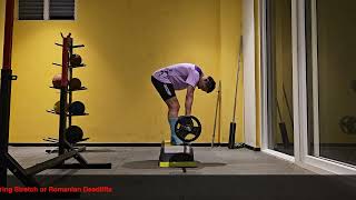 Hamstring Stretch or Romanian Deadlifts [upl. by Boyd]