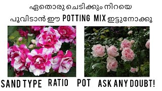 ഇതൊന്ന് കണ്ട് നോക്കൂ  best potting mix ratio  best sand for rose  plant care  gardening [upl. by Button]