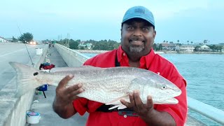 Matanzas Inlet Redfish Fishing [upl. by Bernie363]