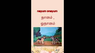 நாயும் ஓநாயும்  nayum onayum  stories fr kids  tamil [upl. by Germain]