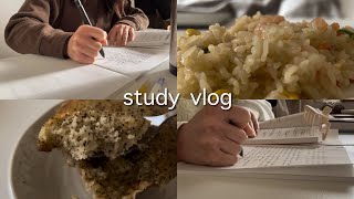 【study vlog】年末年始vlog📚｜vloglots of studying [upl. by Azarcon]