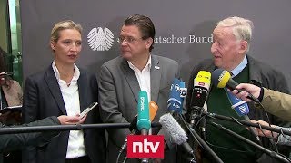 AfDSpitze beschimpft Reporter bei Pressekonferenz  ntv [upl. by Pejsach976]