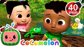 Cody and Ceces Nature Discovery  CoComelon  Its Cody Time  Songs for Kids amp Nursery Rhymes [upl. by Onabru]