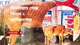 মানিক নগরের বিসমিল্লাহ গোশত বিতানে গরুর মাংস 700 টাকায়cow meat price 2024গরুরহাট গরু [upl. by Nathaniel]