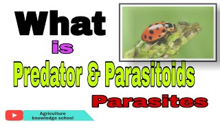 Predator एवं Parasitoids और Parasites मैं अंतर क्या हैं।What is Predator Parasites And Parasitoids [upl. by Danyluk]