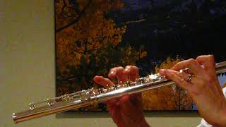 Sankyo Prima Artist Flute Used  Response Demo [upl. by Eillas]