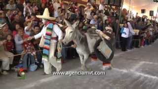 Celebran en Otumba la Feria del Burro [upl. by Arch351]