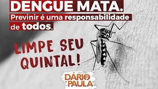 DENGUE MATA Seis mortes já confirmadas no Brasil [upl. by Daryn]