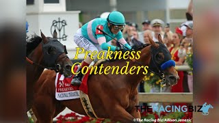 Meet the Preakness contenders [upl. by Freyah]